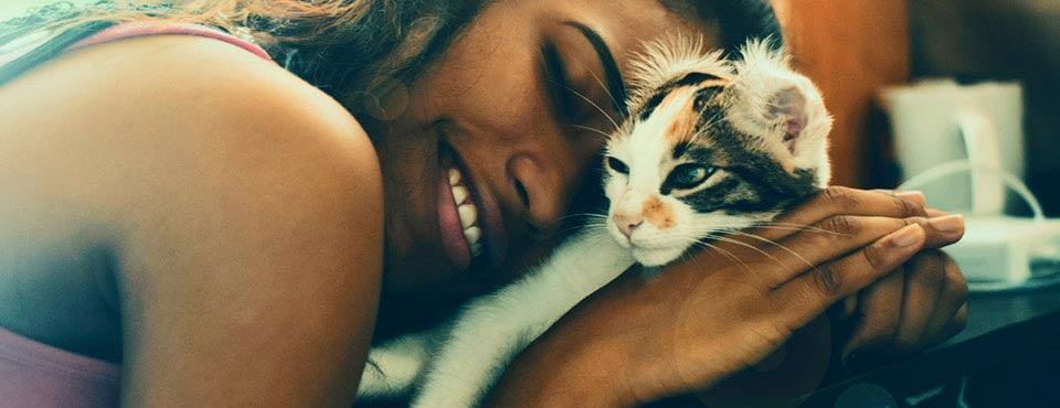 how to protect your cat from fleas and ticks