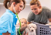 two women a child and a puppy