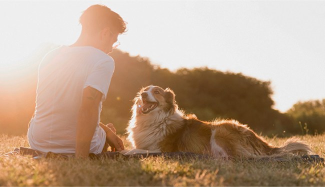 Back view of young man with dog at seaside.