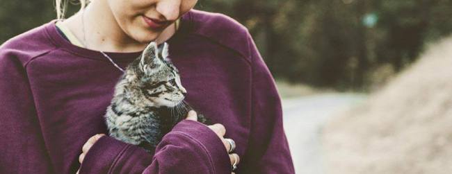 burgundy hoodie woman hugging cat