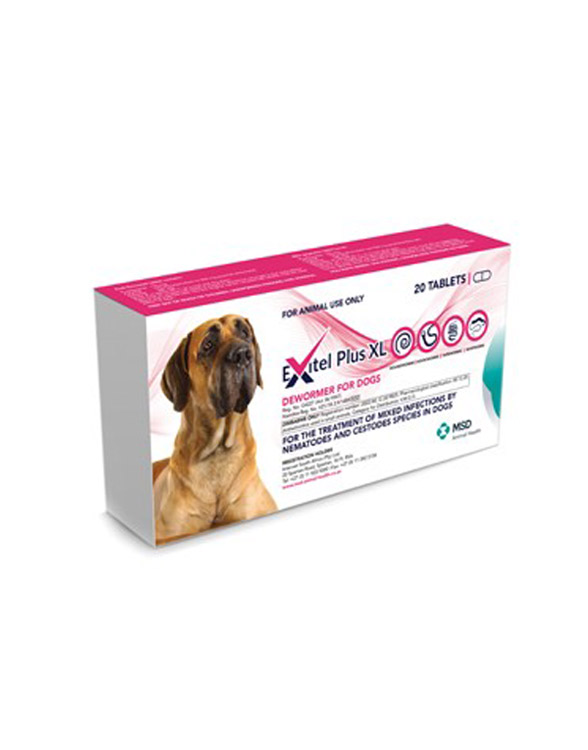 A box of Exitel Plus XL dewormer for dogs featuring a large brown dog image and product information on the front.