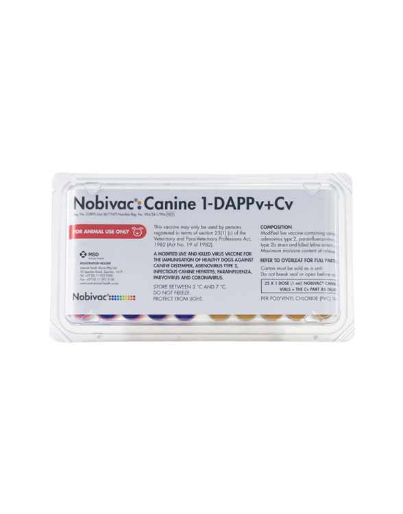 Box and vial of Nobivac L6 vaccine with a photo of a dog on the box.