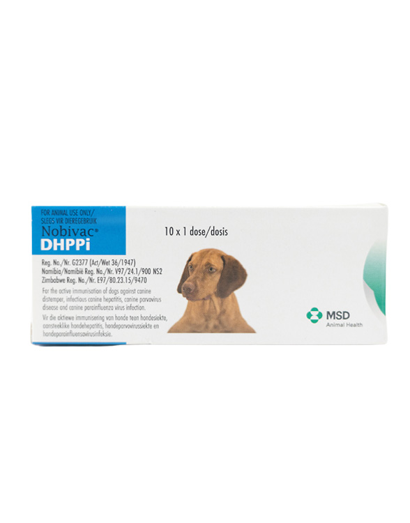 Dog vaccine box labeled Nobivac DHPPI, featuring an image of a dog. MSD Animal Health logo is on the right.