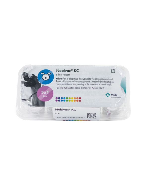 Vaccine packaging labeled "Nobivac KC" with a dog image, 5 doses, MSD Animal Health logo, and colorful emblem.