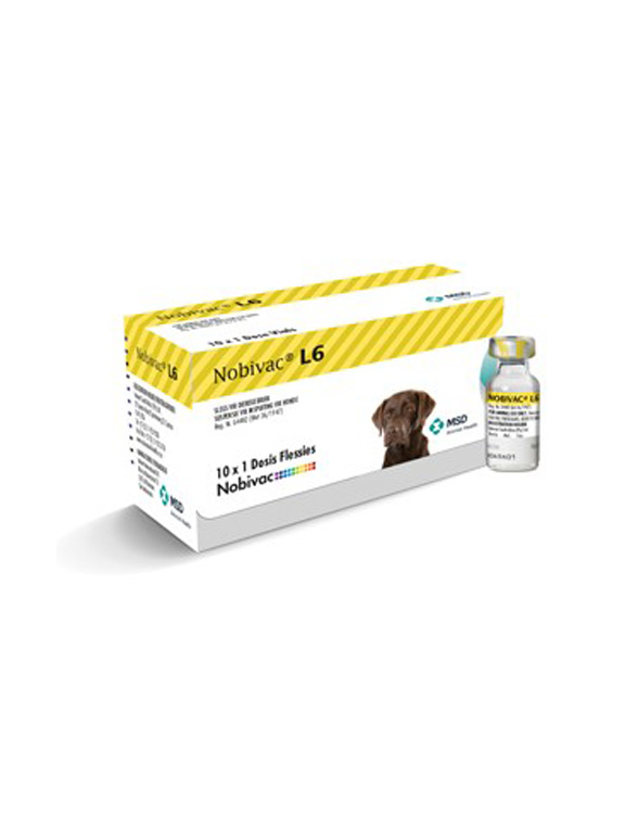Box and vial of Nobivac L6 vaccine with a photo of a dog on the box.