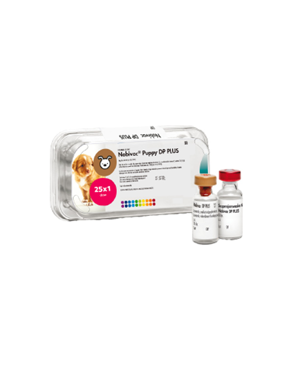 Box and vial of Nobivac L6 vaccine with a photo of a dog on the box.