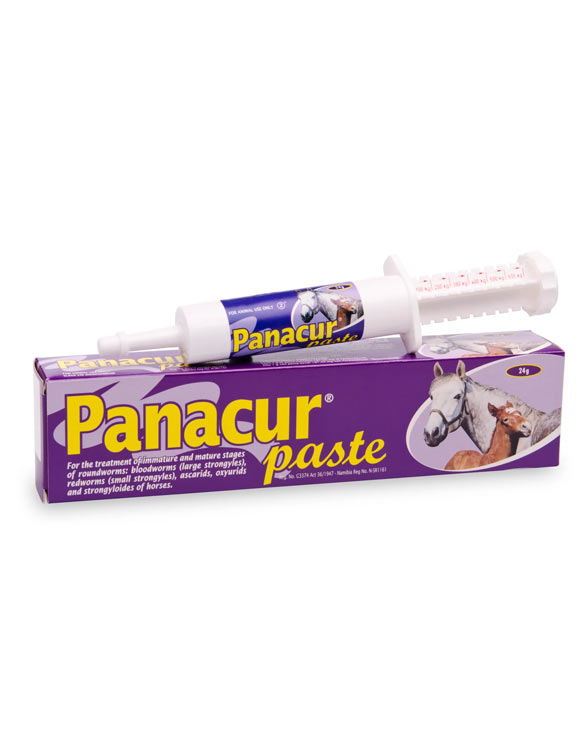 A box and syringe of Panacur Paste with horse illustrations on the packaging, set against a white background.