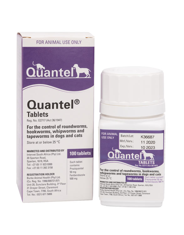 Box and bottle of Quantel tablets for animals, featuring purple accents and text detailing usage for parasite control.